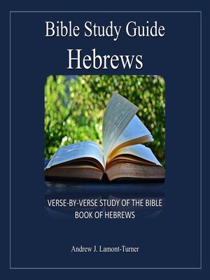 cover image of Bible Study Guide